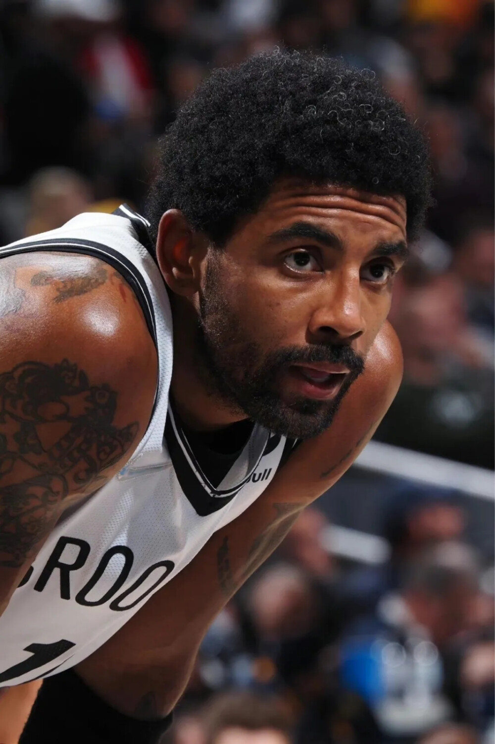 4年被引入 4年被引入