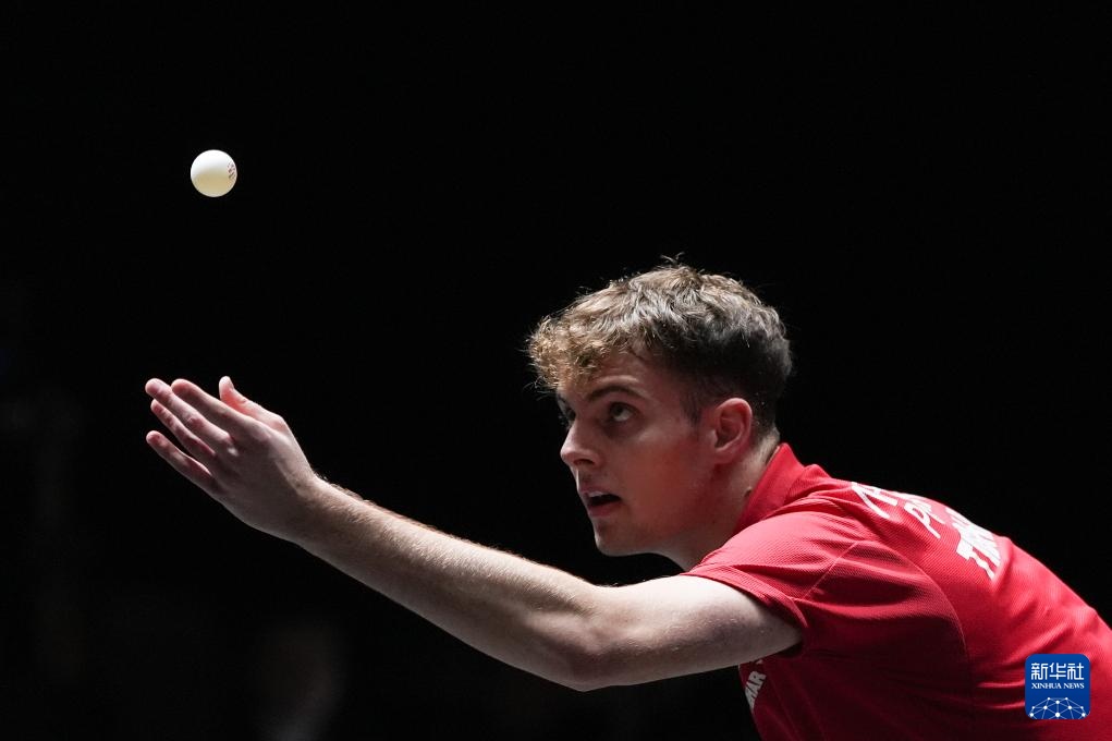 重庆输在稳 重庆输在稳