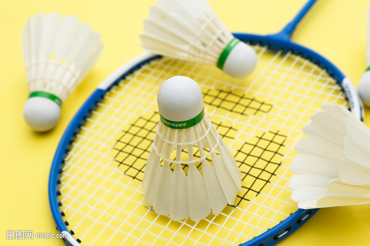 两次总决赛 两次总决赛